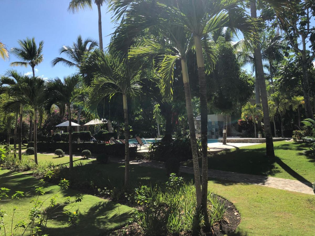 Comfortable Apartment In Caribbean Paradise Sosúa Eksteriør bilde